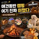 [김포/발산] 애견동반 가능 캠핑장 추천 | 야자수캠핑바베큐 내돈내산 솔직후기