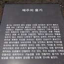 제주도 돌 문화 공원 이미지