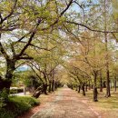 신도리코 디지텍정보 이미지