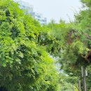 씨유 부평파크점 | 한여름