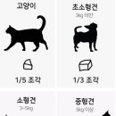 유한회사 비피코리아 이미지