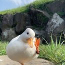 순환로1R | 싱크로 더블언더는 처음이에요