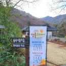 절뒤길(풍산읍) | 창원 성주사 새해 해돋이 후 기도｜2026년 소원 빌기 좋은 조용한 절