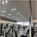 다이아 짐 이미지