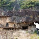 고창에선 갯벌 축제, 전주에선 가맥축제한다네여(퍼온글) 이미지