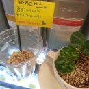 바링고빈스 이미지