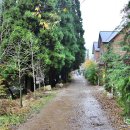 몽계폭포 백양사코스 이미지