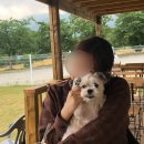 성혜슈퍼 | 2022.2月