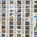 현풍상회 이미지