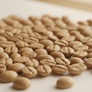 G2-1 | 산미있는 약배전 원두 찾는다면? 수달리커피 예가체프 G2 1kg 솔직후기