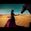 STING &amp; CHEB MAMI - DESERT ROSE 이미지