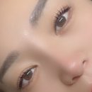 보네르 브로우