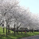 광주 천변길3 이미지