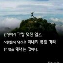 바이온스 이미지