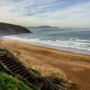 대해시장 이미지