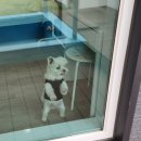 도기캠프 이미지