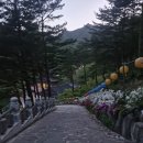 아쉬움이 많았던 금강산 화암사 템플스테이