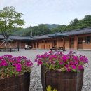 팔봉청삼골돌배마을 이미지