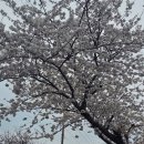 호근서호로 이미지