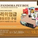 판도라박스 이미지