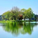 오늘의 명언 이미지