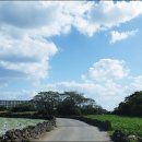 하모리-10 이미지