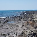 제주무릉도원집 이미지