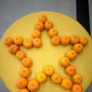 한국체대 스타클래스 태권도장 이미지