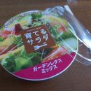 공포의 일본 편의점 샐러드 (feat.식량일기) 이미지