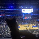 드와이 | [미국 스포츠 직관] Orlando Magic - Kia Center