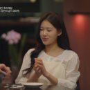 시그널 bnt뉴스