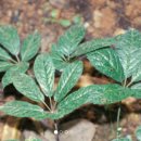 을지로다정약국 이미지