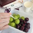 어린이대공원수영장 | 어린이대공원 수영장 이용 후기🌊