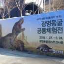 광명동굴 공룡체험전 이미지