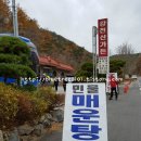 강천산가든 이미지