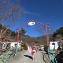 솔솔리조트 | 경남 가족여행 숙소 추천 | 합천 솔솔 리조트 카라반 이용 후기