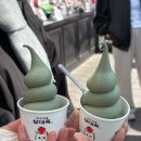 돈주로 | 여수 딸기 찹쌀떡 맛집 삼대옥 본점·별관 후기 | 택배 가능한 여행 선물 디저트