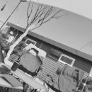 요카카 오토캠핑장 이미지