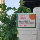 부산기계공고 입구 앞 이미지