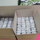 풍암한방병원 이미지