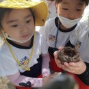 금란어린이집 이미지