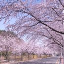 달맞이길 이미지