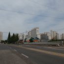 덕진-113 이미지