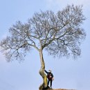 당포농장 이미지