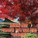 화담숲 카페 | 넓은 정원이 있는 단풍 카페 “우드페커” 주차후기, 메뉴후기