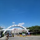 장안꽃시장 이미지