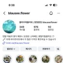 블라우제플라워