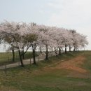 서산농장 이미지