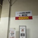 홍가몰