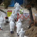 양성농장(1) 이미지